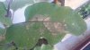 20160717_094646.jpg 20160717_094646.jpg