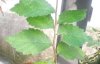 20160730_174635-1-1.jpg