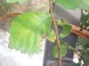 20160730_174635-1-2.jpg