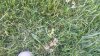20160813_130248-800x450.jpg