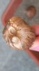 WP_20160818_001.jpg