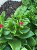 image.jpeg