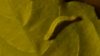 20160819_210519.jpg