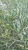IMG-20160822-WA0001.jpg