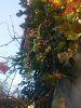 IMG_20160822_190043.jpg