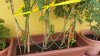 20160619_122615.jpg
