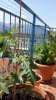 20160825_111224.jpg
