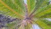 IMG_20160829_092115~2.jpg