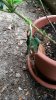 20160830_133254.jpg