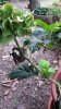 20160830_133258.jpg