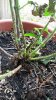 20160830_133319.jpg