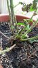 20160830_133321.jpg