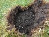 grub-damage.jpg