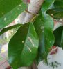 IMG_20160902_211451.jpg