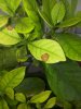 20160908_164438_rid.jpg
