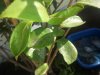20160908_164517_rid.jpg