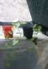 20160912_084712.jpg
