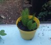 20160826_073326.jpg