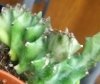 20160914_190821-1-1.jpg