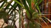 20160908_205506.jpg