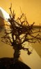 DSCN3279.jpg