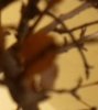 DSCN3281.jpg