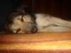 DSC00676.jpg