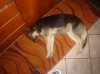 DSC00674.jpg