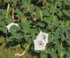 DSC_7733small.jpg