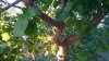 WP_20160909_002.jpg