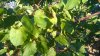 WP_20160909_001.jpg