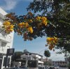 IMG_20161017_113635.jpg
