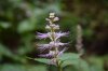 DSC_0359.JPG