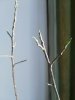 rps20161025_215111.jpg