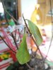 rps20161025_215131.jpg