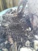 rps20161026_135401.jpg