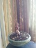 rps20161026_140049.jpg