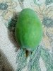 IMG_20161027_191808.jpg