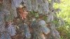 WP_20161030_10_25_40_Pro.jpg