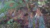 WP_20161030_10_25_46_Pro.jpg