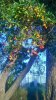 WP_20161101_006.jpg