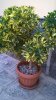 WP_20161106_13_09_06_Pro.jpg