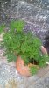 WP_20161106_13_09_10_Pro.jpg