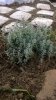 WP_20161109_13_09_10_Pro.jpg