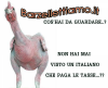 pollo-barzellettiamo-300x243.png