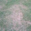 rps20161111_073328.jpg