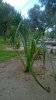WP_20161126_12_37_24_Pro.jpg
