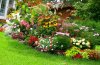 landscaping-ideas-for-small-gardens-zoo-garden-design-ideas-shrubs-madyaba.jpg