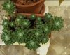 20161210_122352.jpg
