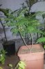 20160628_235056.jpg